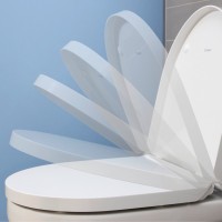 Duravit Durastyle No.1 lecsapódásmentes WC ülőke, nemesacél zsanérral